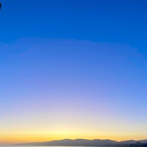 Meet your Posher, Angelo